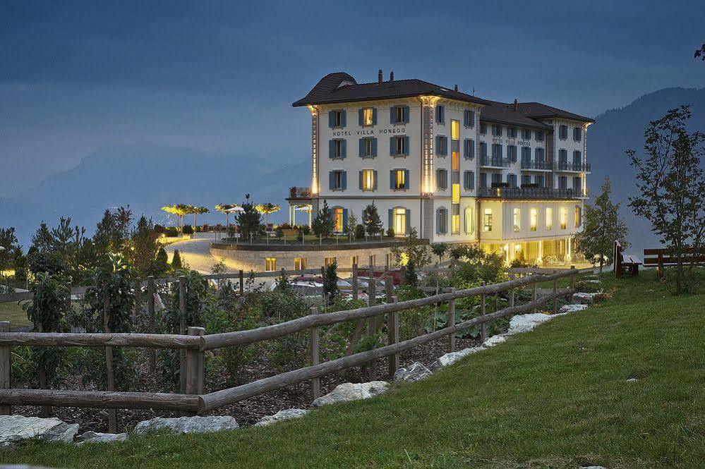 Hotel Honegg 5*